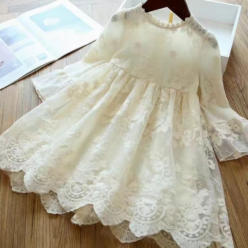 Lace Embroidered Princess Dress