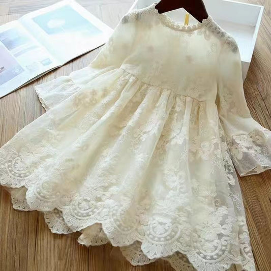 Lace Embroidered Princess Dress